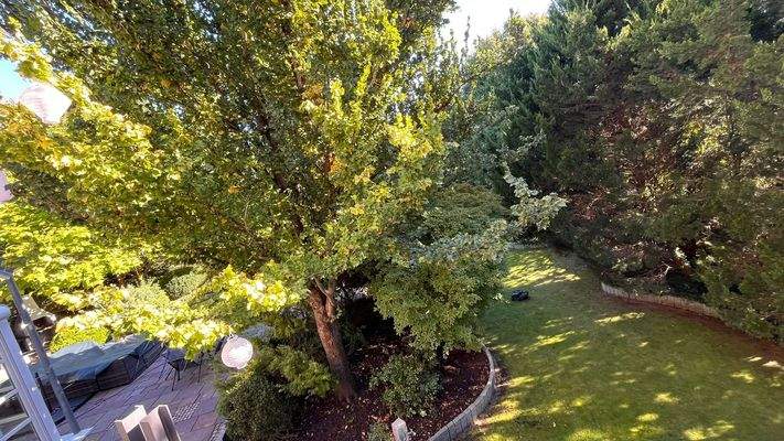 Eine Gartenanlage die Ruhe und Kraft verströmt, zudem Schatten spendet