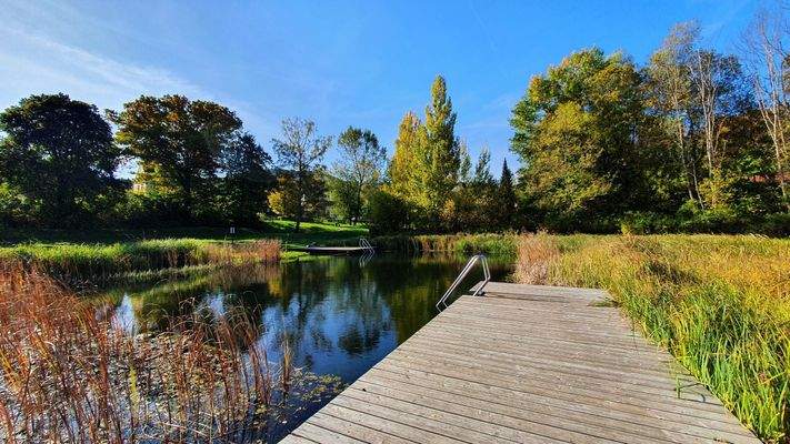 Schwimmteich (1)
