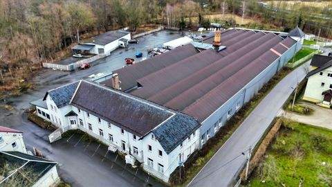 Saalfeld Halle, Saalfeld Hallenfläche