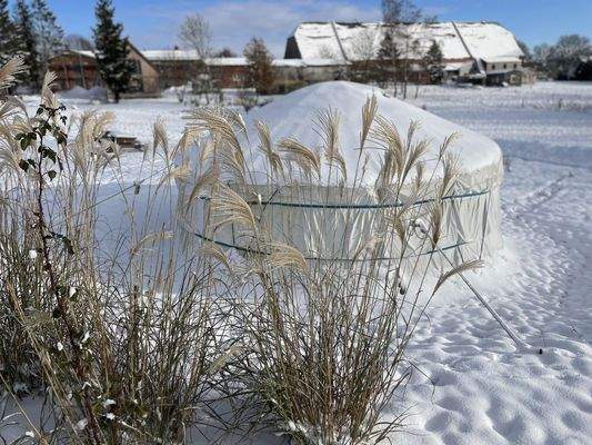 Garten im Winter