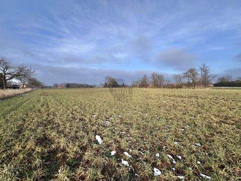 Raddestorf Bauernhöfe, Landwirtschaft, Raddestorf Forstwirtschaft