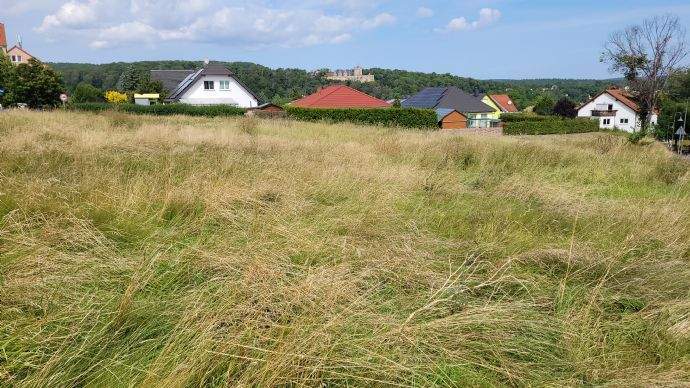Das Grundstück noch unbebaut