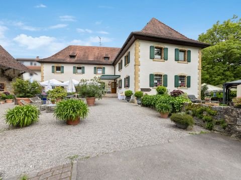 Efringen-Kirchen Häuser, Efringen-Kirchen Haus kaufen
