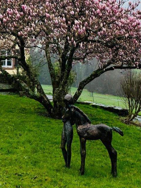 Sexau Bauernhöfe, Landwirtschaft, Sexau Forstwirtschaft