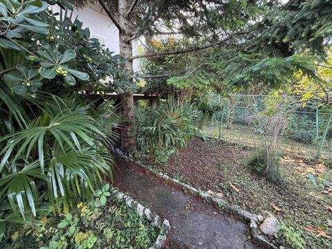 Centar Häuser, Centar Haus kaufen