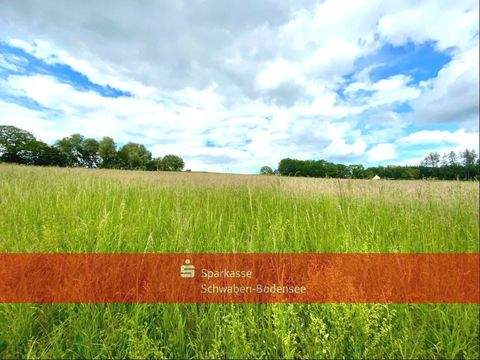 Apfeltrach Bauernhöfe, Landwirtschaft, Apfeltrach Forstwirtschaft