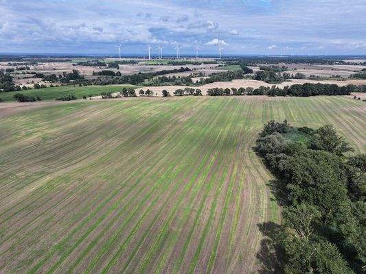 Blick über den Acker 