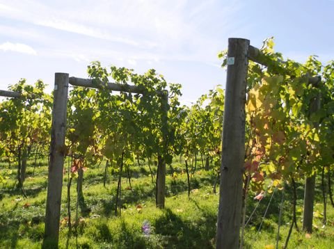 Kaltern Grundstücke, Kaltern Grundstück kaufen