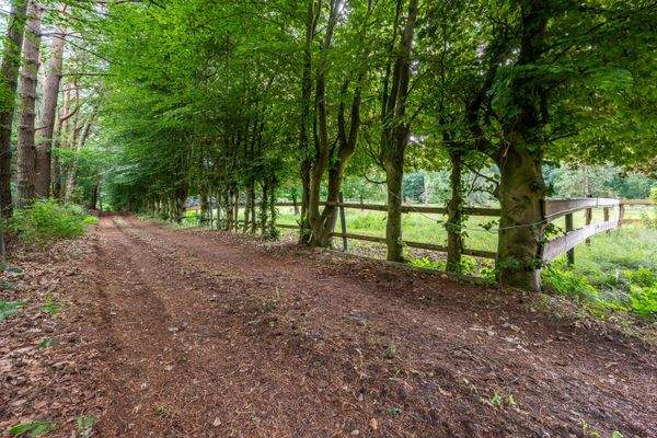 Gudendorf-Charmantes-Häuschen-im-Wald-62