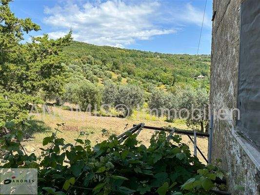 Ausblick vom Hauseingang