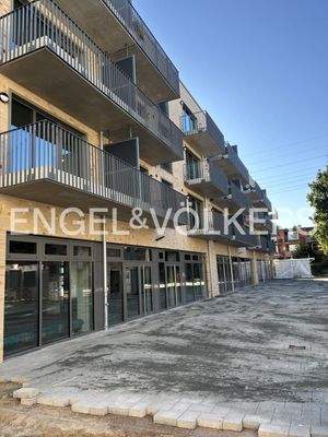 Außenansicht Hinten