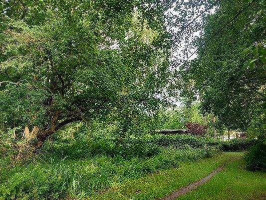 parkähnl. Baumbestand 