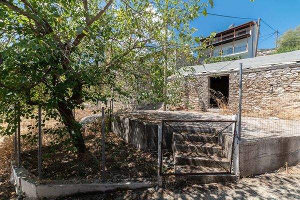 Papatsiaras-Theologos-Kekes 24-07-2024-6.jpg