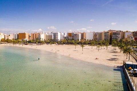 Arenal Industrieflächen, Lagerflächen, Produktionshalle, Serviceflächen