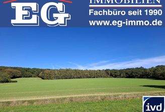 Angebot von EG Immobilien Makler in Bad Salzuflen