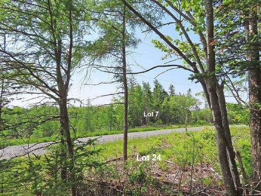 Cape Breton - 37,4 Hektar mit Atlantik-Zugang in t