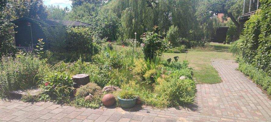 Blick aus dem Wintergarten