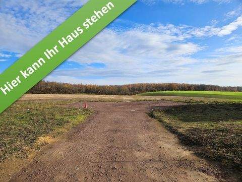 Harbke Häuser, Harbke Haus kaufen