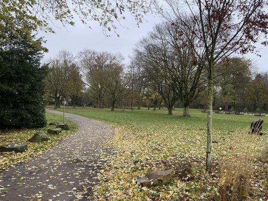 den Stadtpark vor der Haustür