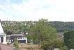 IMG_1243.jpeg