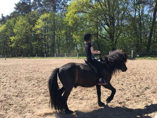 Top Reitunterricht nebenan