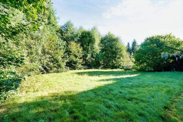 Garten hinter dem Haus