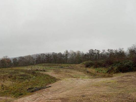 Groß (IMG_1555).jpeg