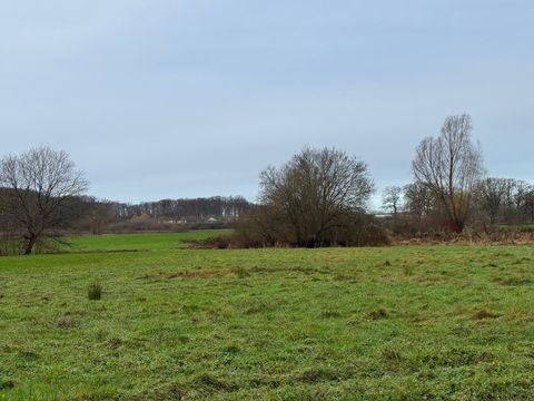 Wersen Bauernhöfe, Landwirtschaft, Wersen Forstwirtschaft