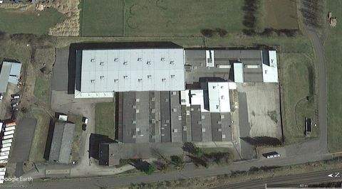 Dahlem Halle, Dahlem Hallenfläche