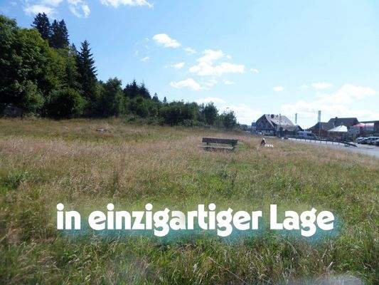 Impressionen vom Grundstück