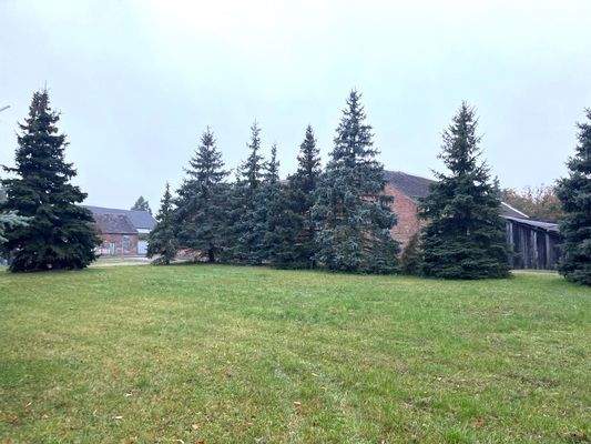 Groß (IMG_8837).jpeg