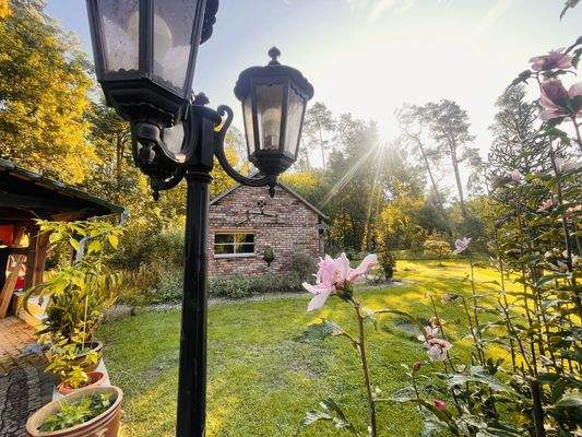 Gartenbereich - sehr gepflegt