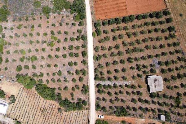 Kreta, Mouzouras: Flaches Grundstück mit Panoramablick zu verkaufen