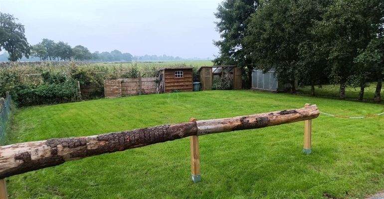 199 qm Wiesenfläche