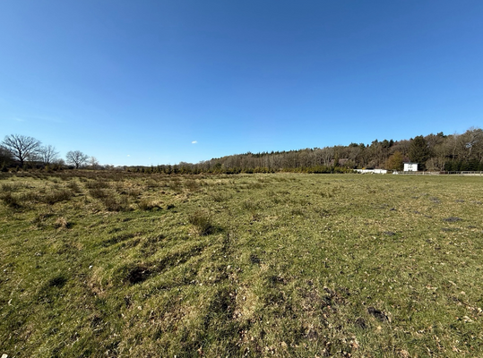 Bildschirmfoto 2025-09-18 um 16.43.56.png