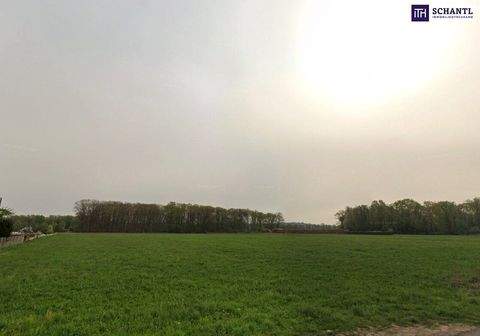 Leibnitz Grundstücke, Leibnitz Grundstück kaufen