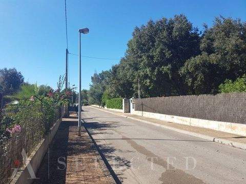 Sa Pobla Grundstücke, Sa Pobla Grundstück kaufen