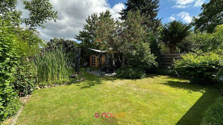 Blick in den sonnigen Garten