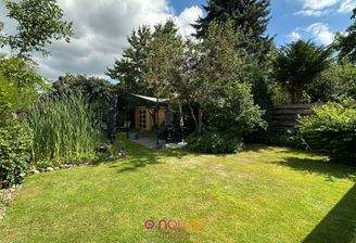 Blick in den sonnigen Garten