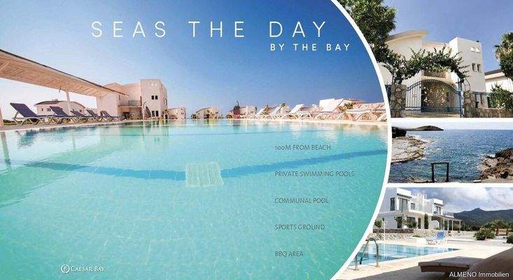 Caesar Projects Catalogue 2024_Seite_39