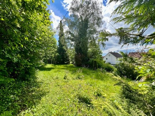 Gründe Idylle ums Haus