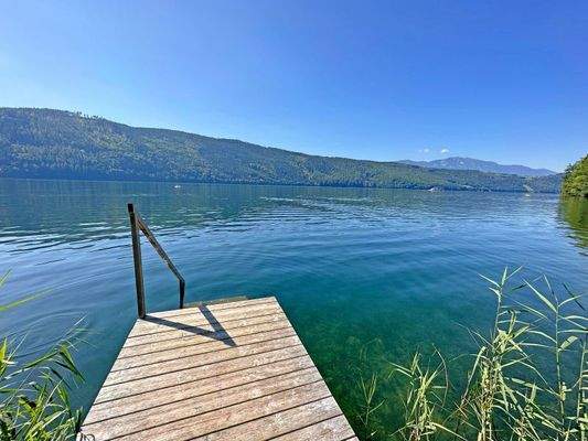 Millstätter See bear