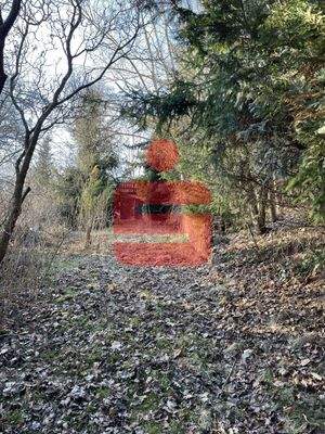 Zuwegung zum Gartenhaus