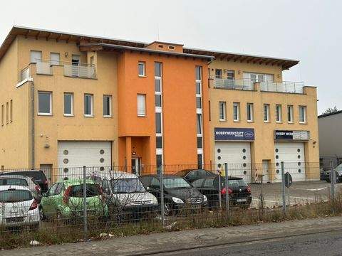 Mannheim Bauernhöfe, Landwirtschaft, Mannheim Forstwirtschaft