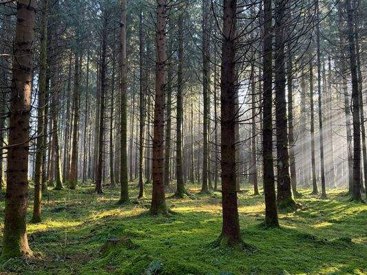 2025-12-10 11.12.07.jpg