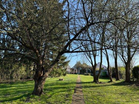Garten mit Baumbestand