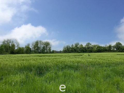 Taufkirchen an der Pram Grundstücke, Taufkirchen an der Pram Grundstück kaufen