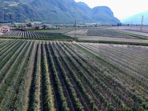 Eppan an der Weinstraße Grundstücke, Eppan an der Weinstraße Grundstück kaufen