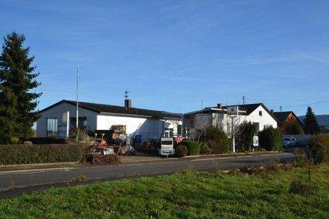 Lahr/Schwarzwald Halle, Lahr/Schwarzwald Hallenfläche