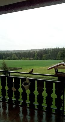 Ausblick